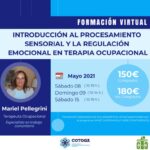 CURSO INTRODUCCIÓN AL PROCESAMIENTO SENSORIAL Y REGULACION EMOCIONAL EN LA TO